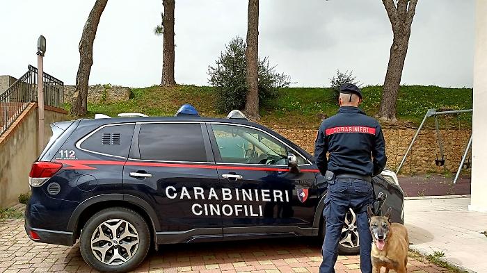 Nucleo cinofili e sequestro canile Montelepre