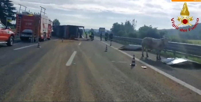 Screenshot 2024-05-23 140958