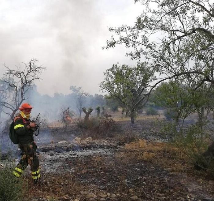 L'Udc: &laquo;94 assunzioni di forestali bloccate dalla burocrazia&raquo;