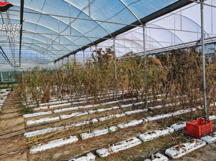 Droga dalla Germania a Barrafranca