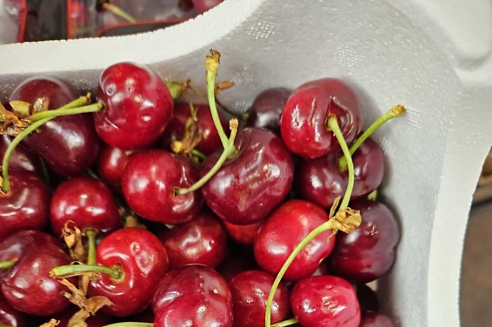 f42037761419f6965ddf5d8b4eadfa2a