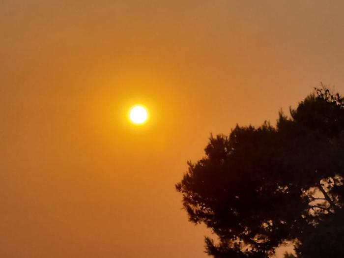 Allerta meteo a Palermo: scatta il codice rosso per ondate di calore e massimo rischio incendi