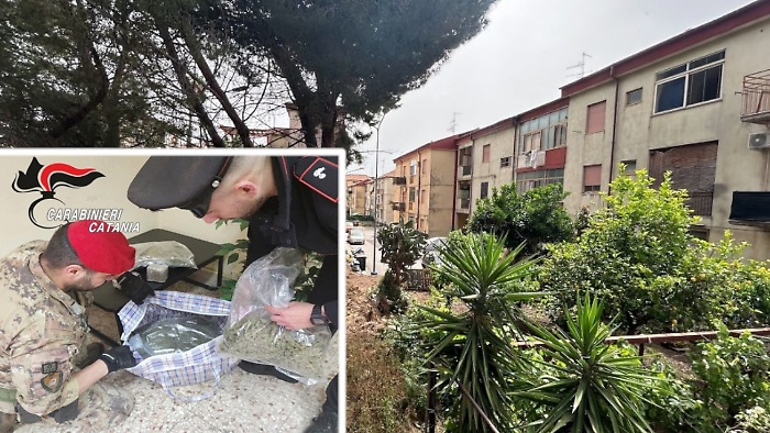 Droga sequestrata a Macchia di Giarre
