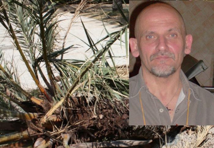 Claudio Anastasi, ucciso da una palma ad Aci Castello