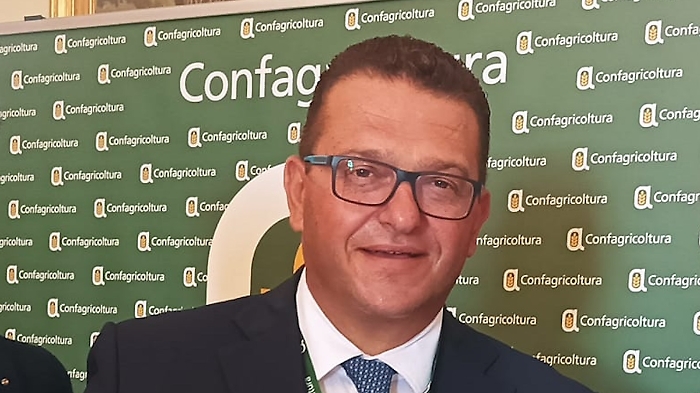 rosario marchese ragona