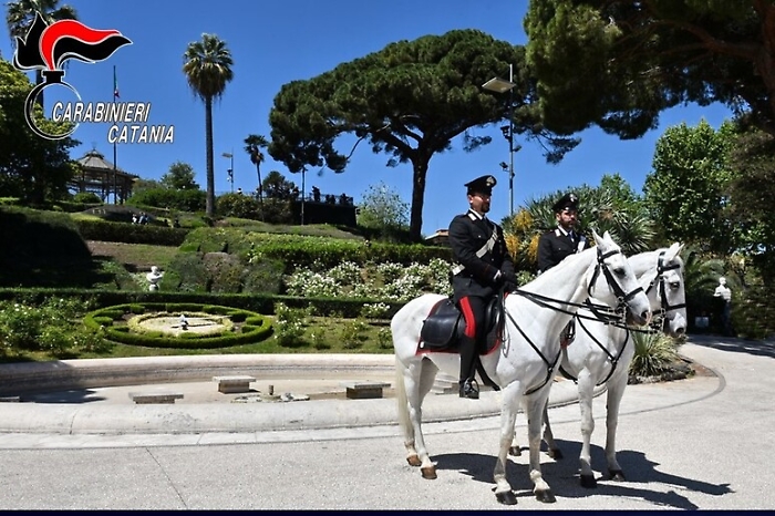 0e704d836893823d11f43e23a583cc34