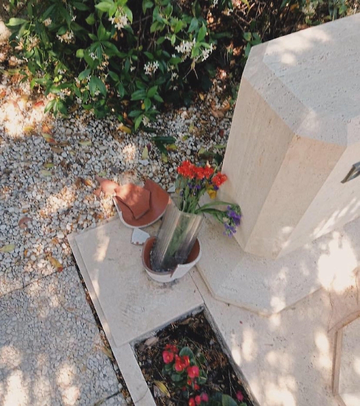 1718637302_e5380e6417b69bfb7051