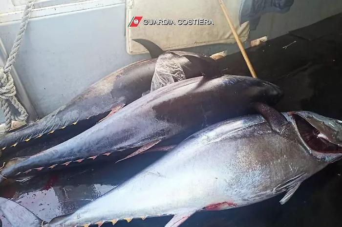 24119cde0fedb71c70d16453789bd789