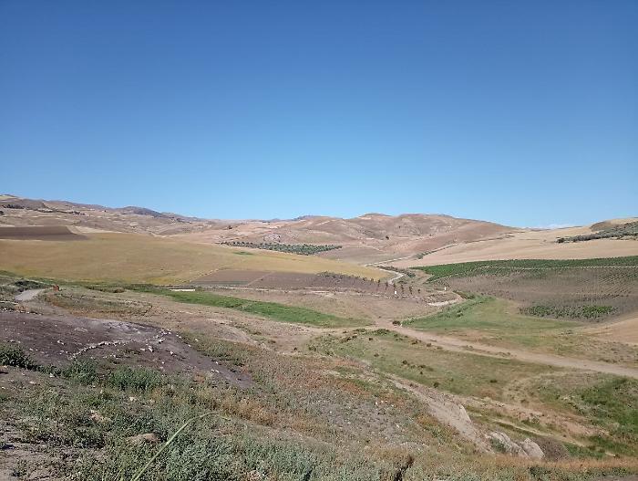 447496256_441457001852918_7860221163920251490_n