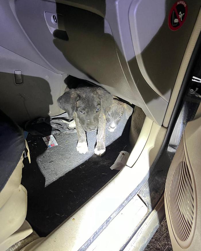 448319378_1035001974663142_5098377589468319391_n