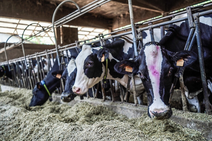 9ffaabd72daceb1f1f56fbb6bc1e5810