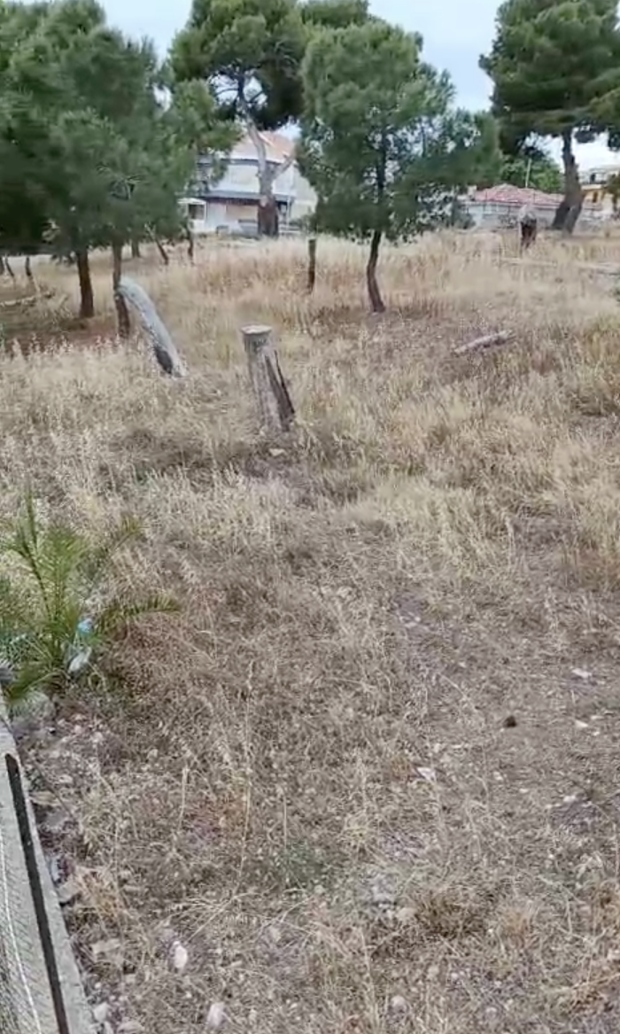 Le condizioni in cui versa la villetta di via Caboto a Marina di Ragusa