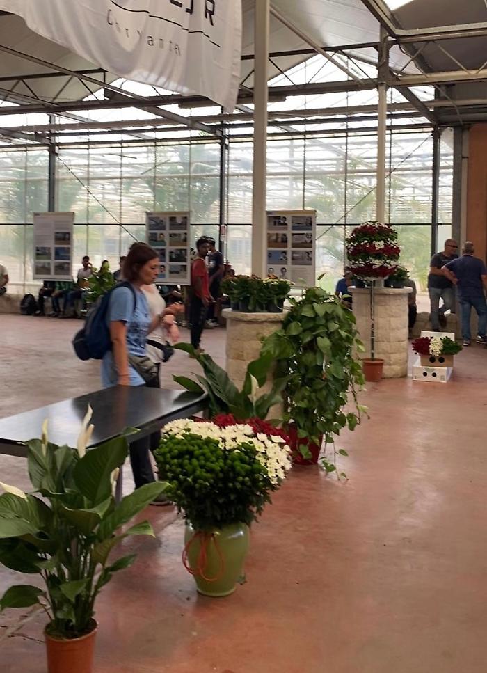 Mostra Costituente La Mediterannea5