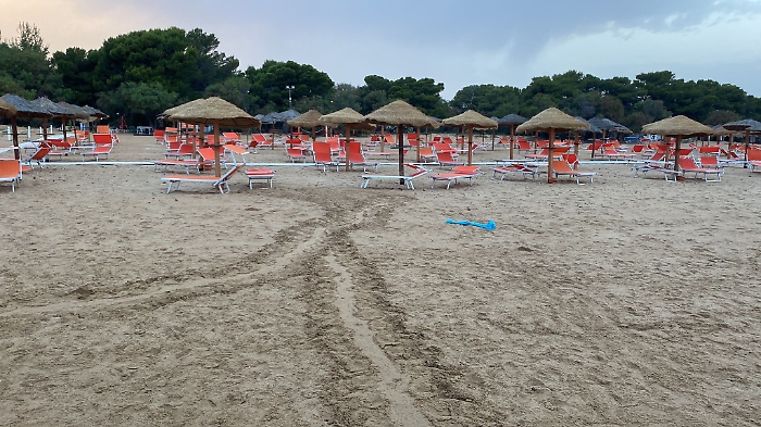 Nido Caretta Caretta 1