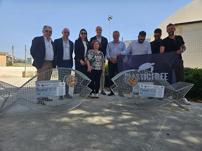 WhatsApp Image 2024-05-30 at 15.18.28 copia