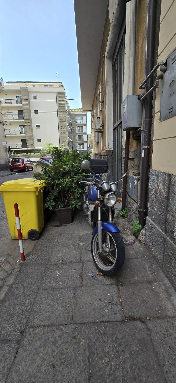 WhatsApp Image 2024-06-09 at 11.26.05 (1)