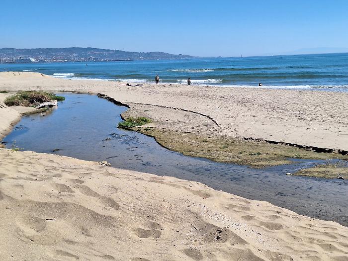 WhatsApp Image 2024-06-09 at 19.31.40