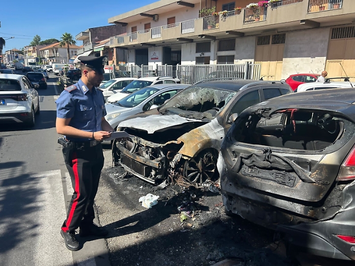 WhatsApp-Image-2024-06-18-at-10.33.29