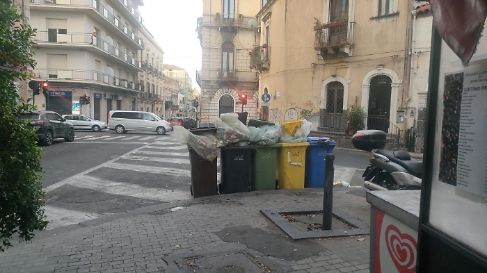 d50c1f6a-0941-4c17-941a-dca13161afa8