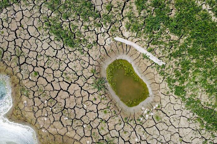 2ab2cb4455d4cf648476b319a0ac1017