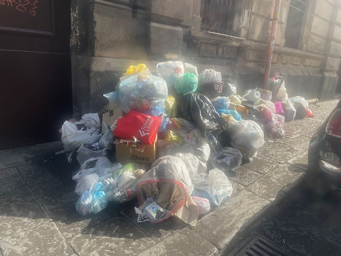 2e232644-d936-4070-bd3a-5cd43f437243