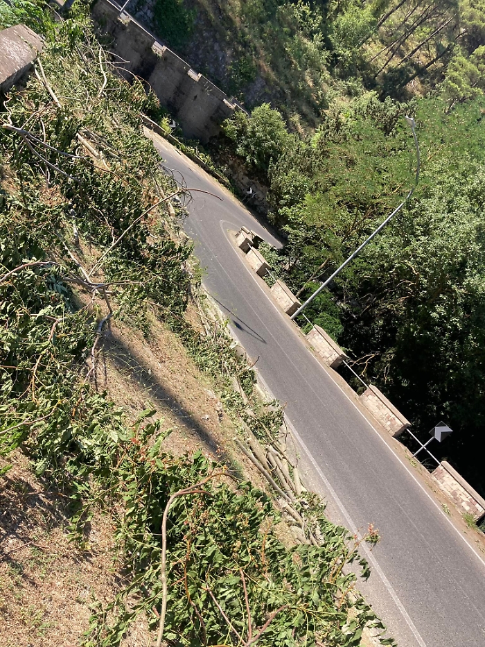 451764182_1021785059637123_6744961548490513068_n