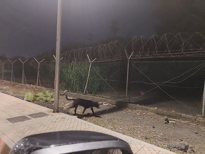 6047aa32-3142-4f63-af60-9bc73f96bf1e