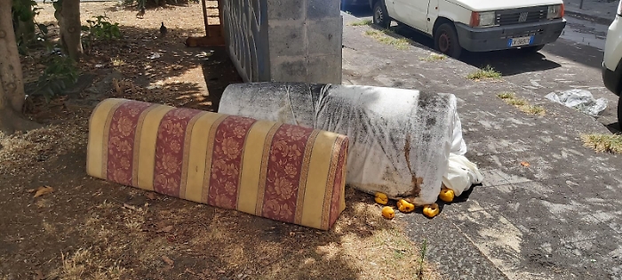 8d226580-717f-46ff-97a4-954b03d26b1b