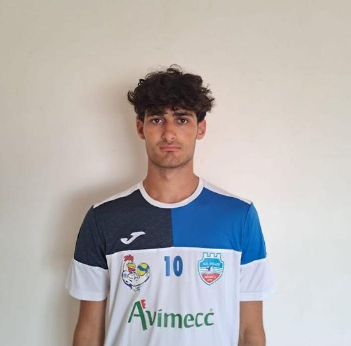 Davide_tomasi_avimecc