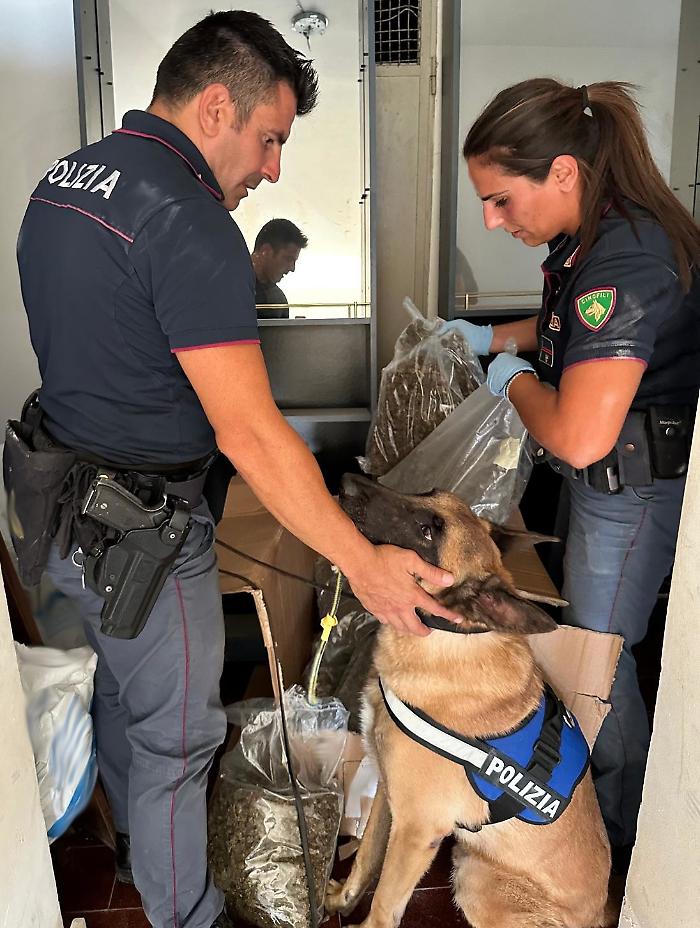 INGENTE QUANTITATIVO DI MARIJUANA SEQUESTRATO DALLA POLIZIA DI STATO IN VIA CAPO PASSERO CHE SE IMMESSO SUL MERCATO AVREBBE FRUTTATO CIRCA 80MILA EURO