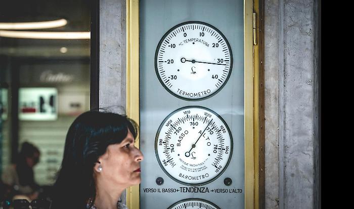 Immagine 2024-07-13 113903