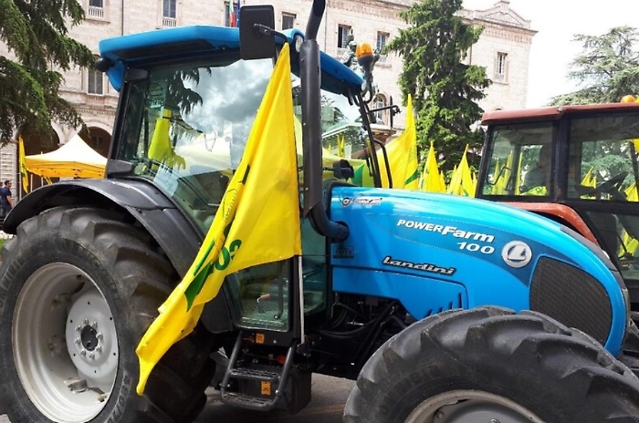 Immagine 2024-07-29 084219