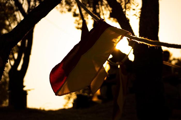 Immagine di presentazione edizione 2024