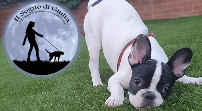 Raccolta fondi Marley