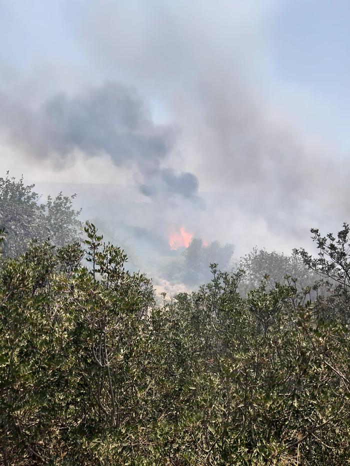 WhatsApp Image 2024-07-11 at 14.29.04