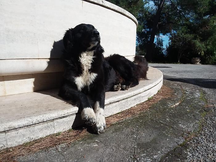 WhatsApp Image 2024-07-15 at 15.02.10