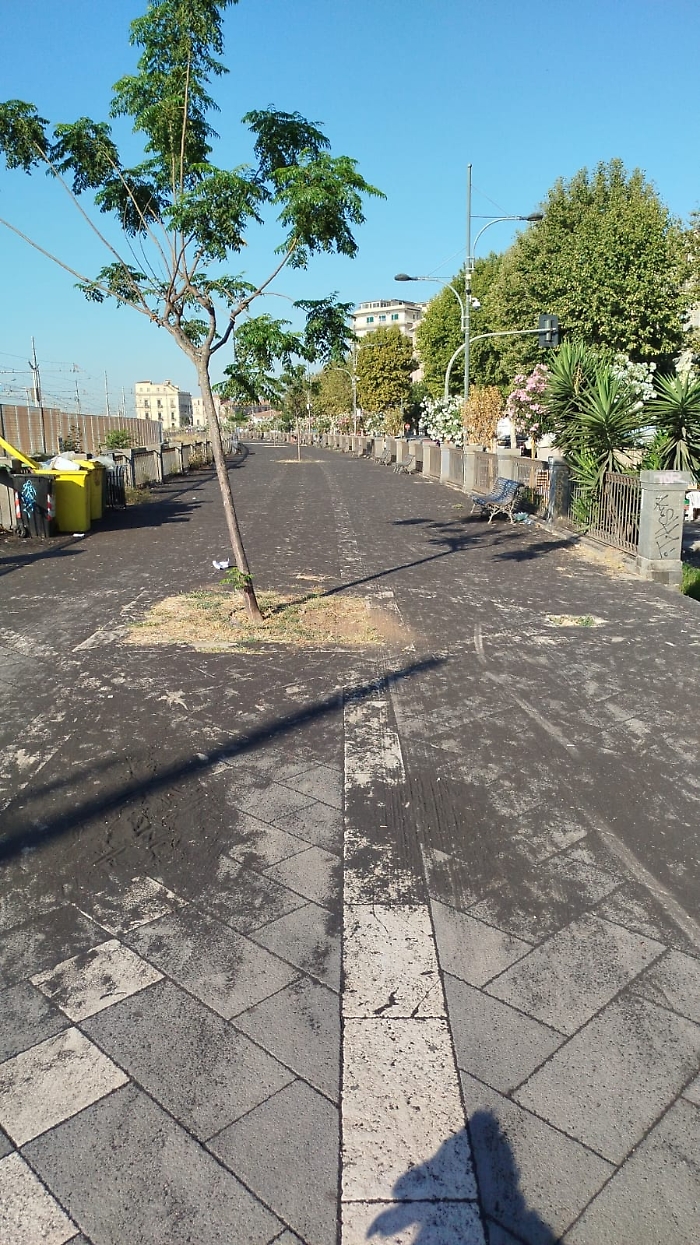 WhatsApp Image 2024-07-16 at 08.08.00