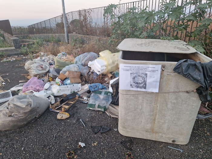 WhatsApp Image 2024-07-16 at 20.38.08 (1)