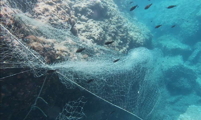 WhatsApp Image 2024-07-18 at 14.29.12