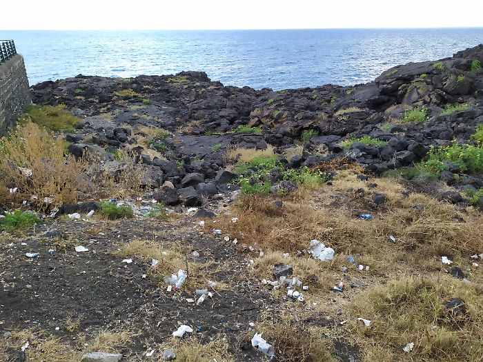 WhatsApp Image 2024-07-24 at 21.18.59