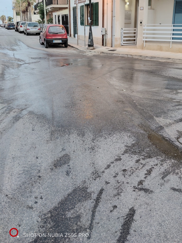 WhatsApp Image 2024-07-25 at 20.15.30