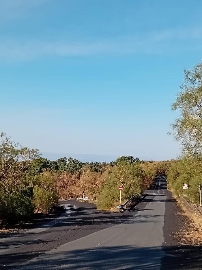 WhatsApp Image 2024-07-29 at 08.05.11