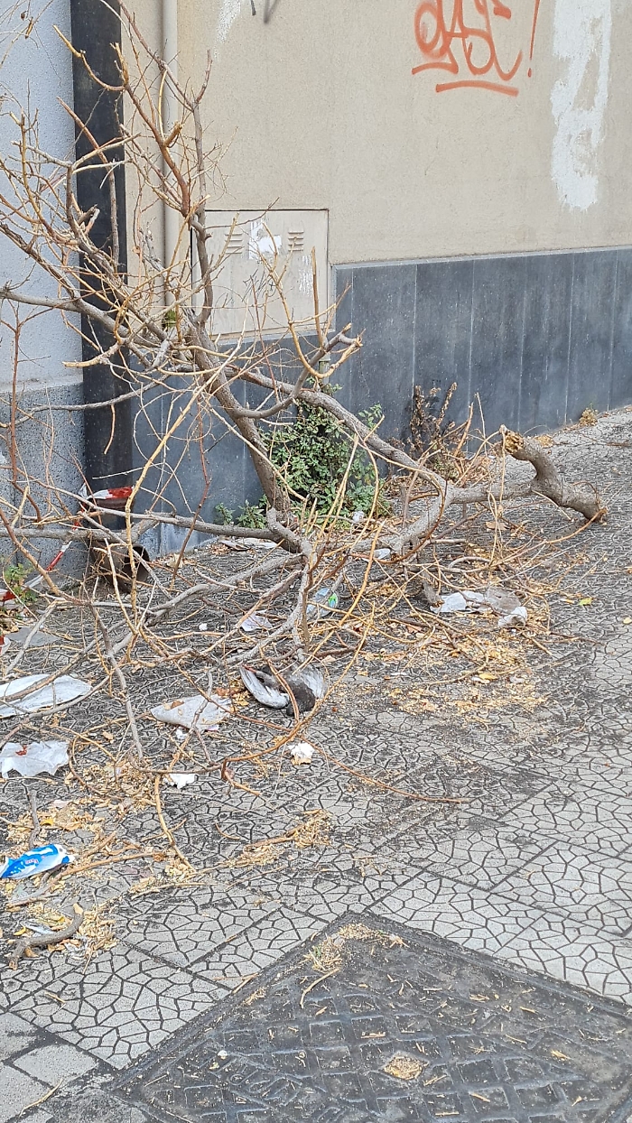 a078a9d6-50a4-41e1-92ee-4c2ff1d6912e