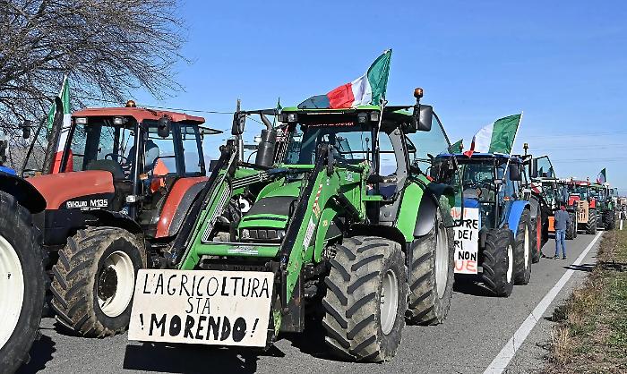 agricoltura
