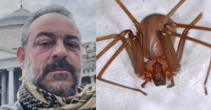 Francesco Aiello, morto per un morso di ragno violino