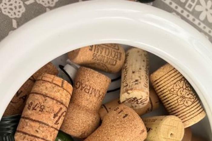 fde8d7b72c93154d6328f73f101e8238