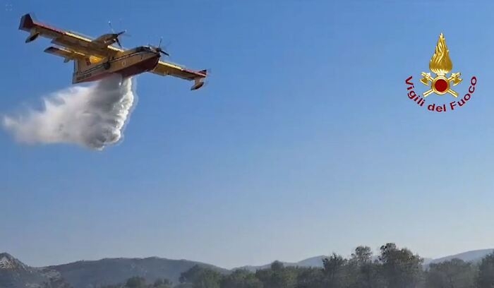 2561ba8c48c3be90e9f74544f3f8b58a