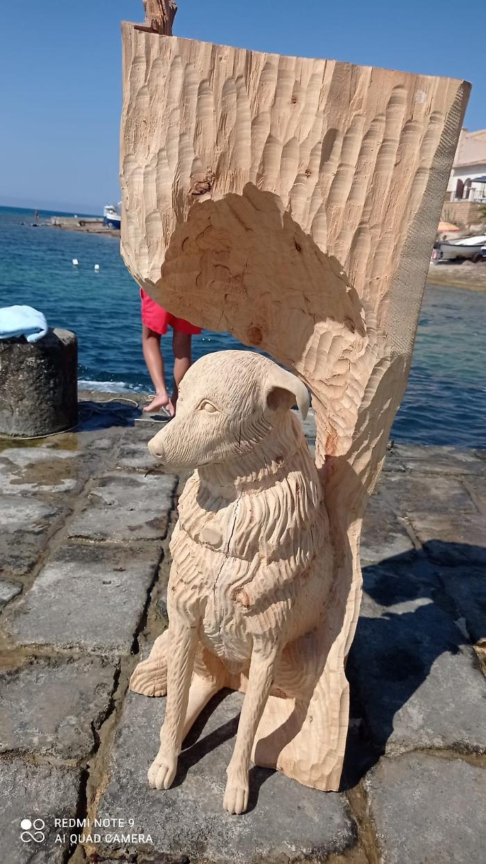 455546672_1299662984584183_1463286344454076004_n