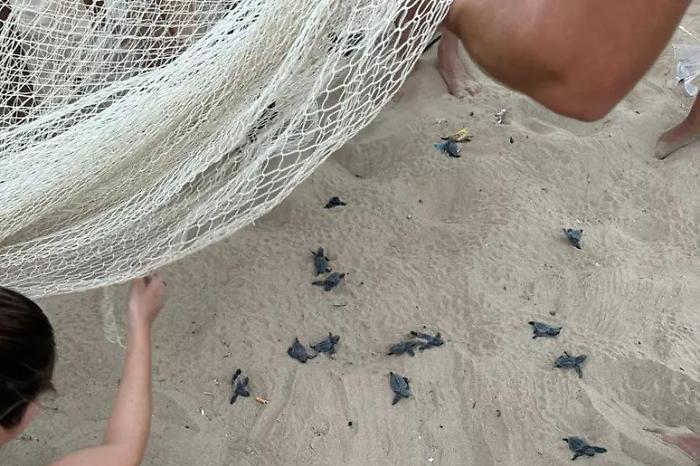 81da64bee4e0018752d37dc8f817625b