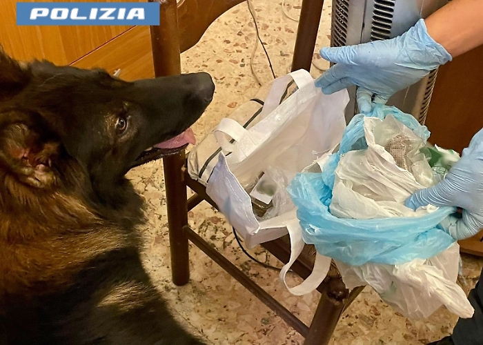 ANCORA CONTROLLI DELLE UNIT&Agrave; CINOFILE DELLA POLIZIA DI STATO A SAN CRISTOFORO 79ENNE ARRESTATO PER DETENZIONE AI FINI DI SPACCIO